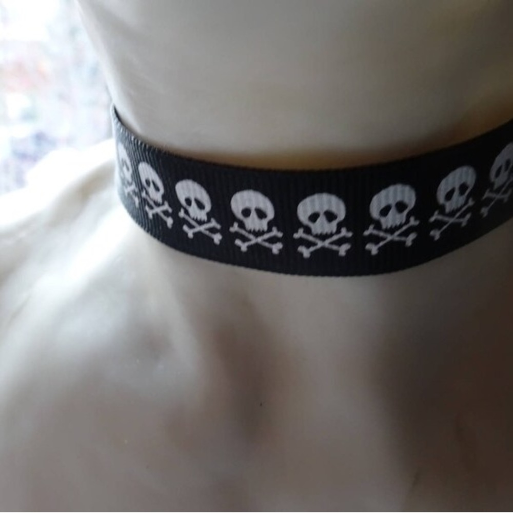 $6.00 Special Skull Choker